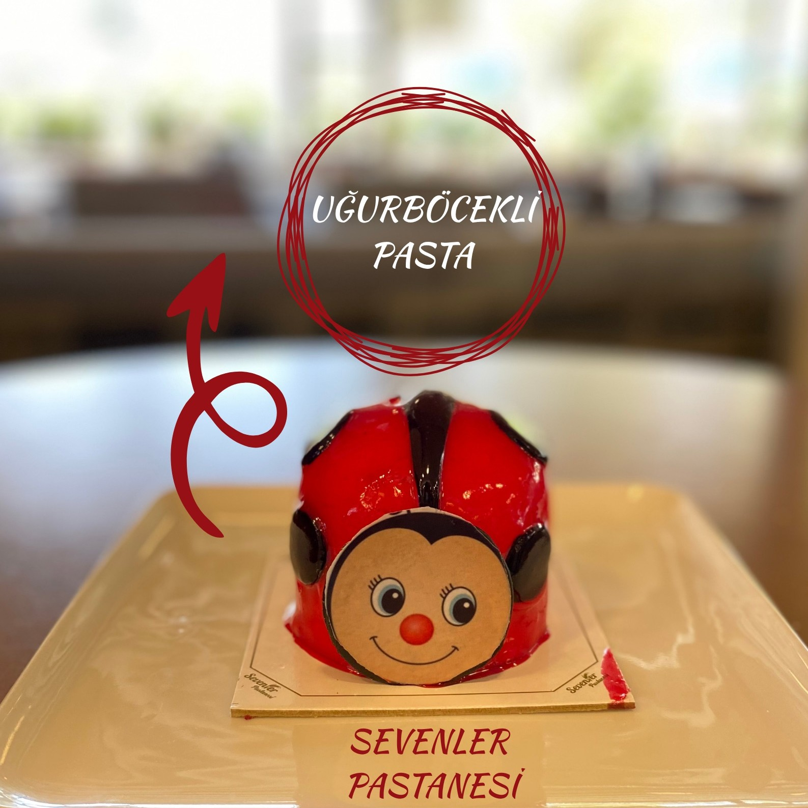 Uğur Böceği Pasta ( Tek Kişilik )