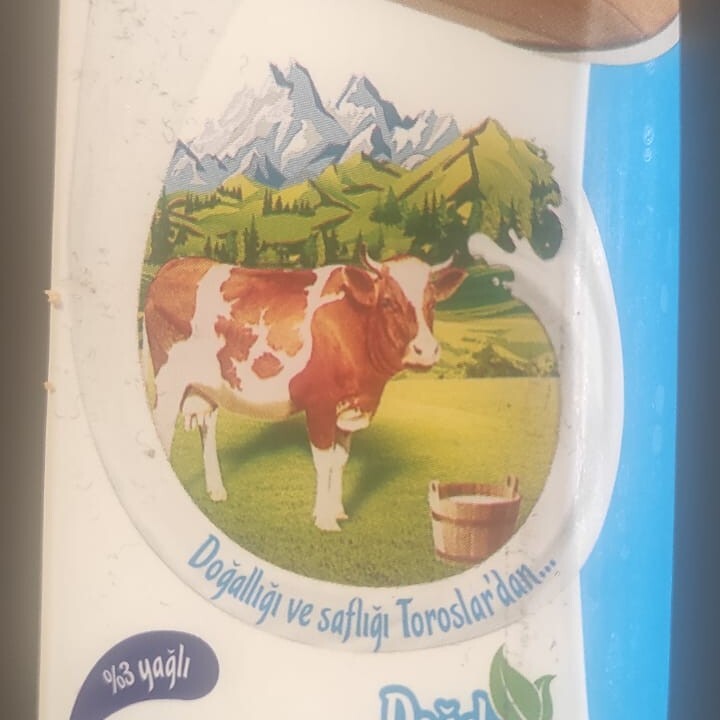 1 Lt Süt