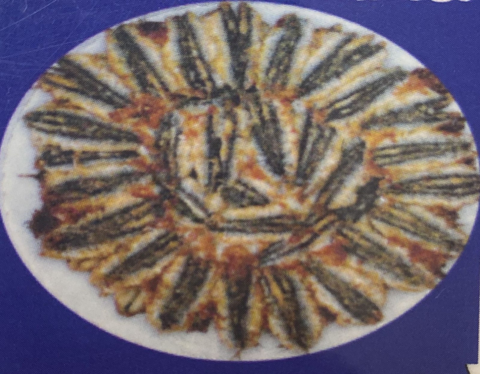 Kaşarlı Hamsi