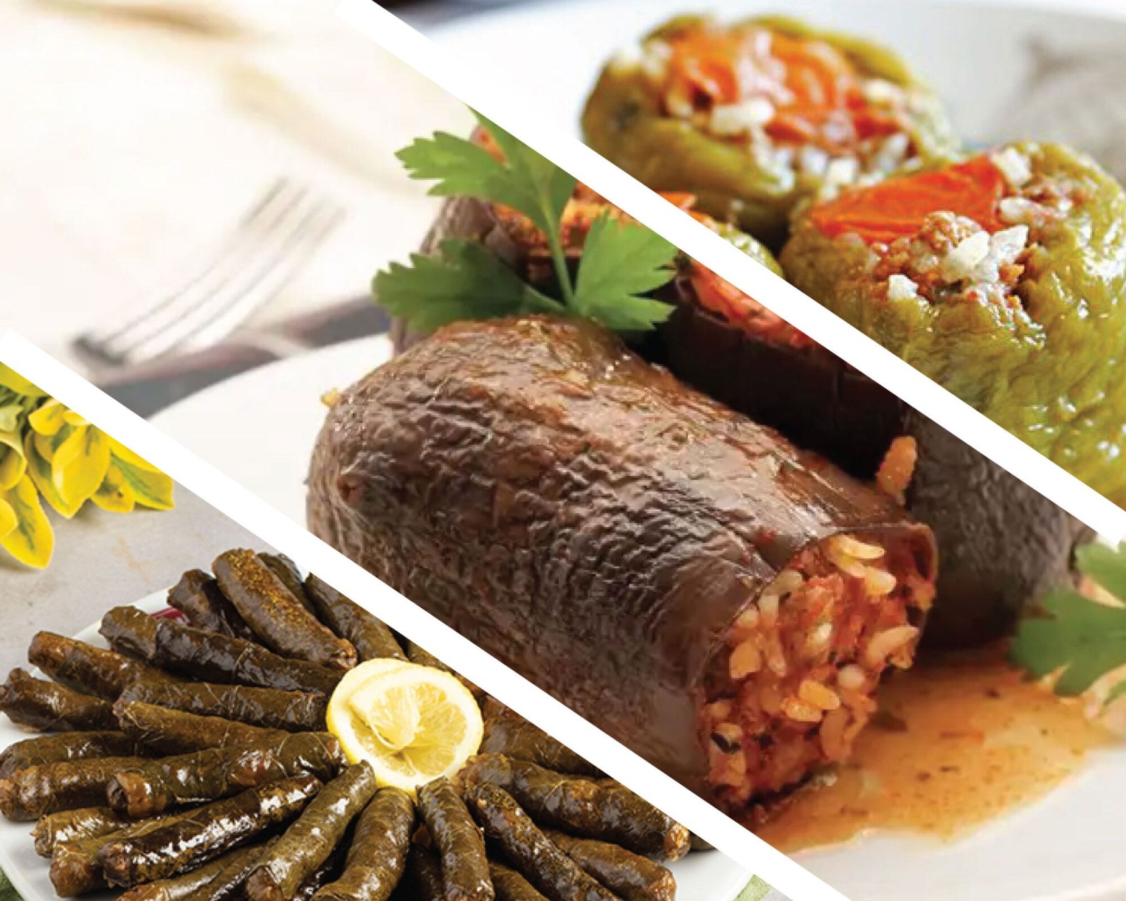 Dolma Menüsü 1