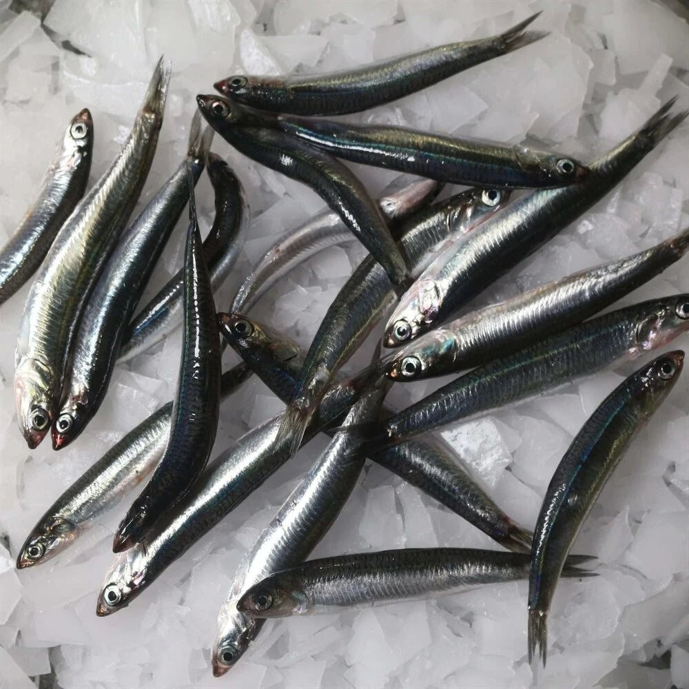 Hamsi (1 kg.) (Pişirilmemiş)