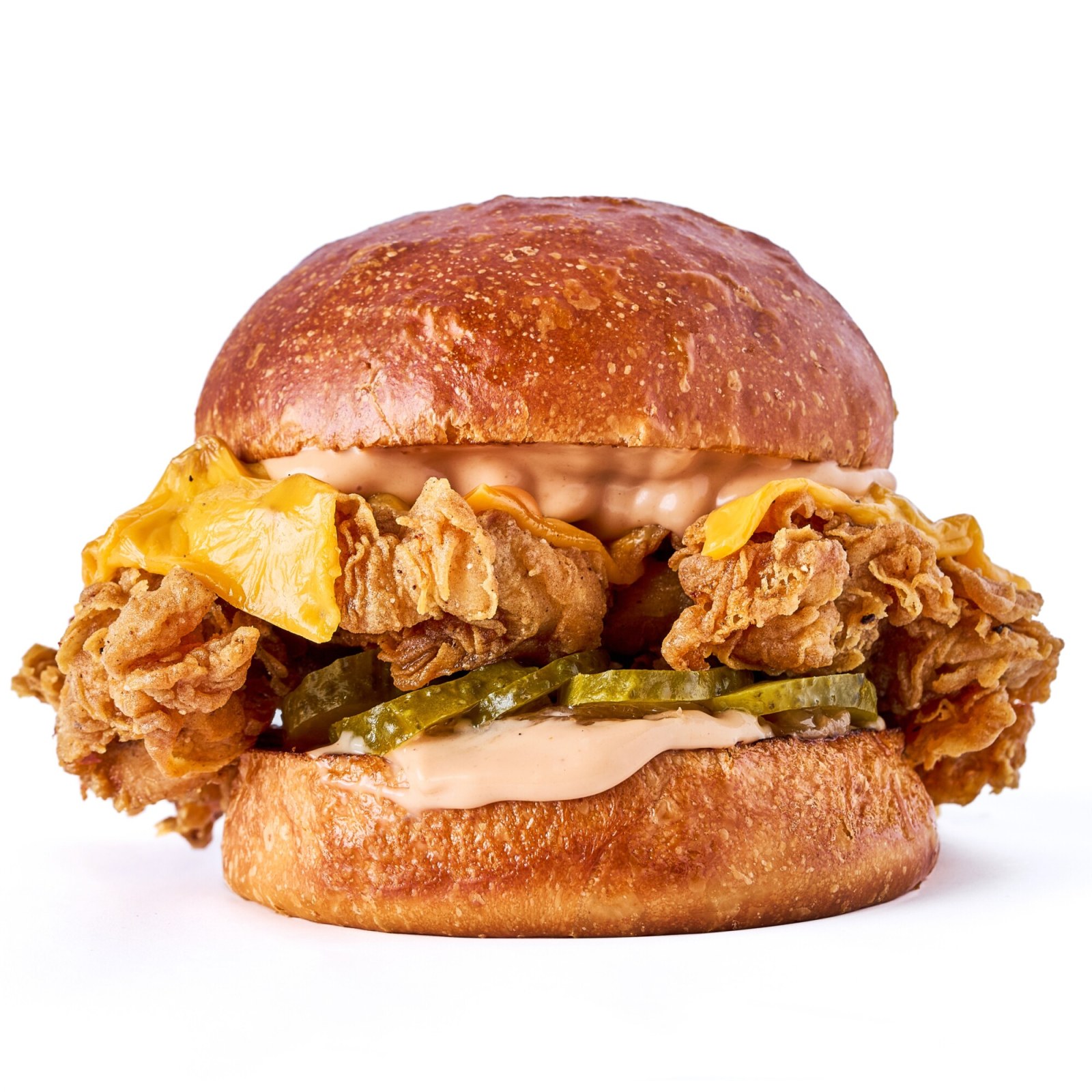 Basic Tavuk Burger