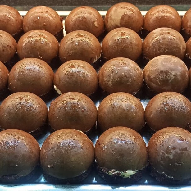 Çikolata Şelalesi (500 gr)-(Tahmini 8-10 Adet)