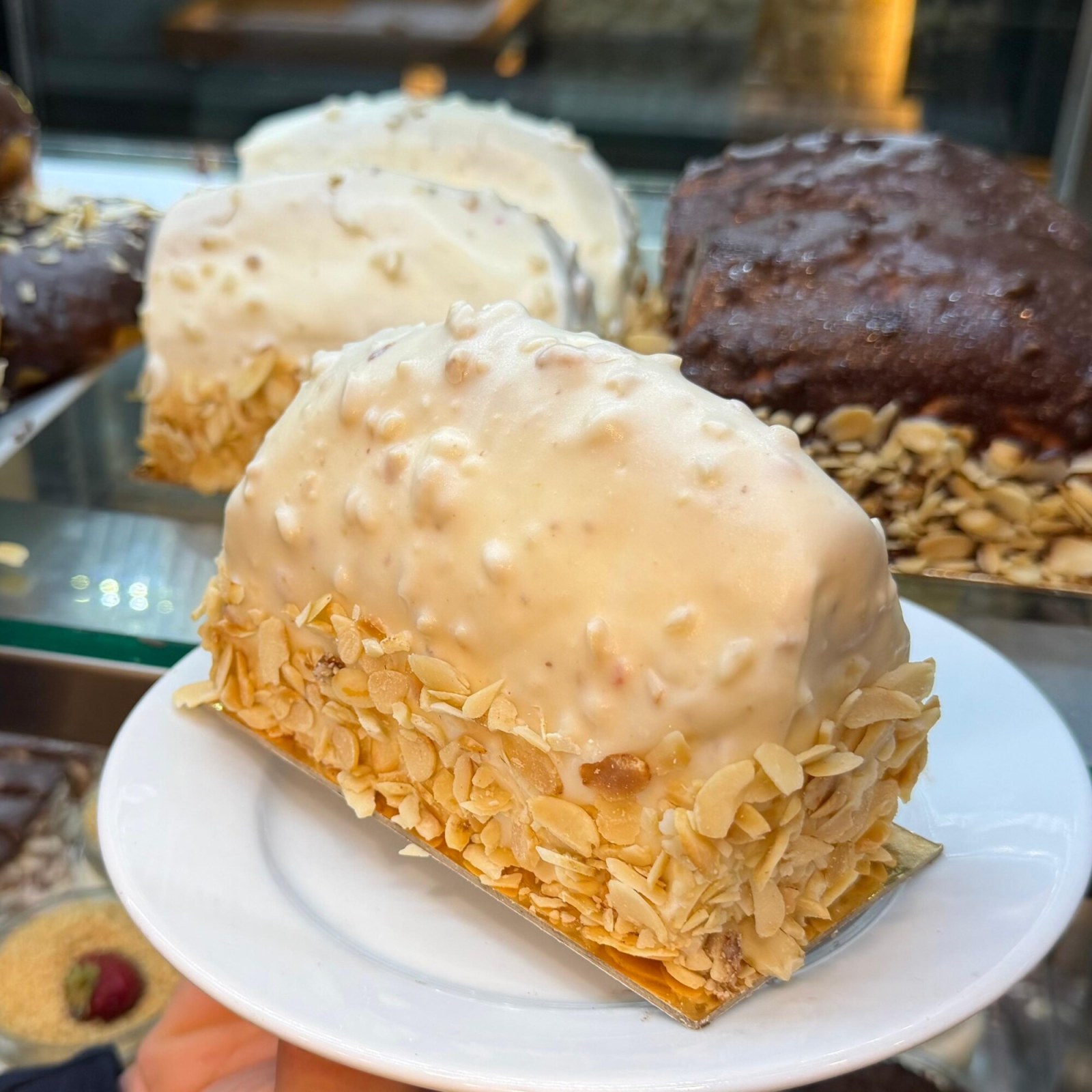 Malaga Fil Dişi Çikolatalı