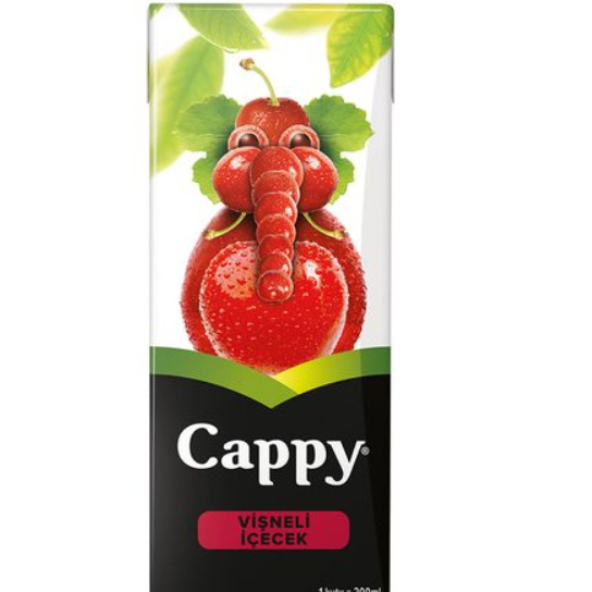 Vişneli Meyvesuyu 200Ml