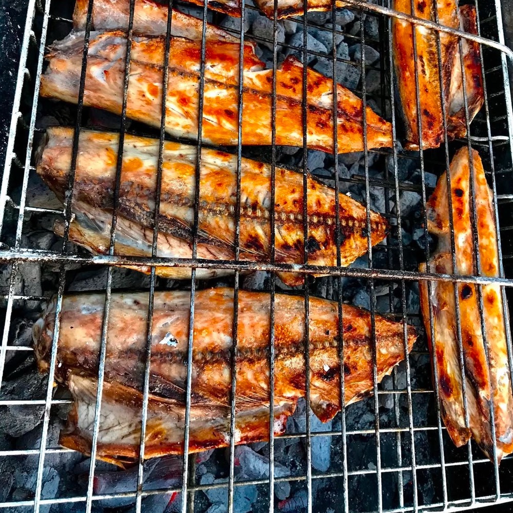 Yerli taze ızgarada palamut