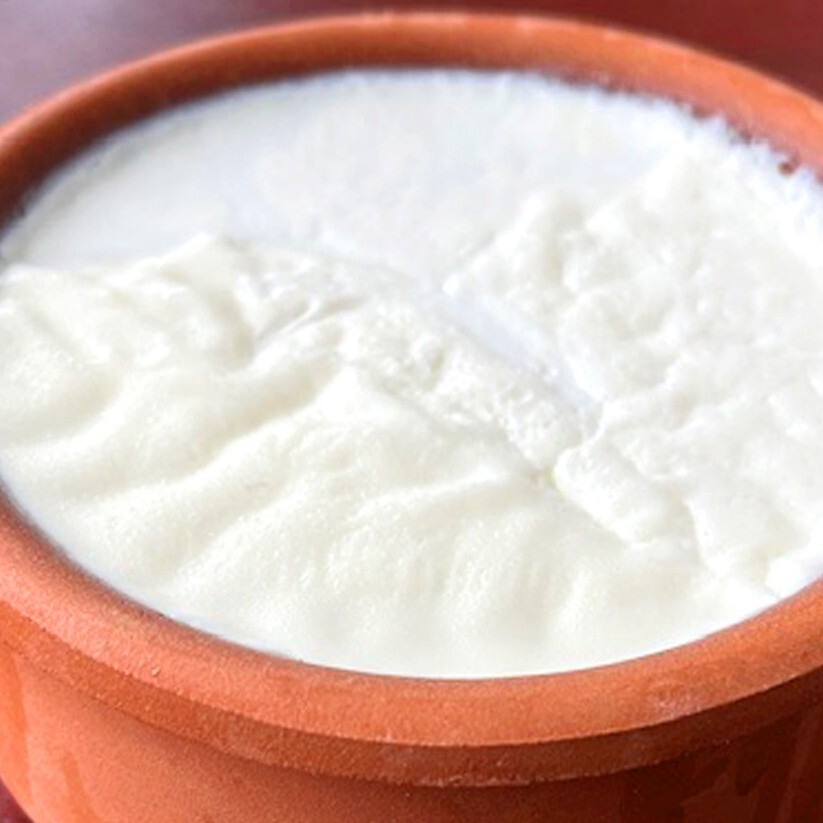 Yoğurt