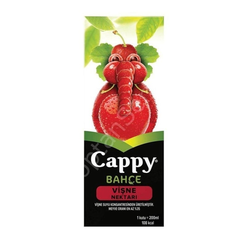 Cappy 200 Kutu Vişne