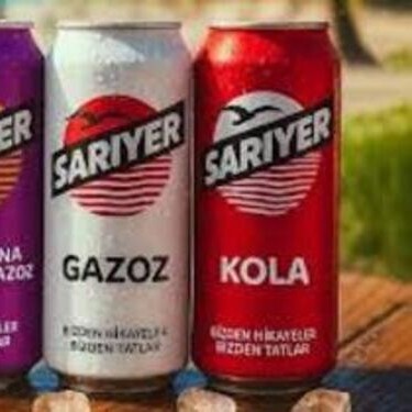Sarıyer Kola (330 ml)