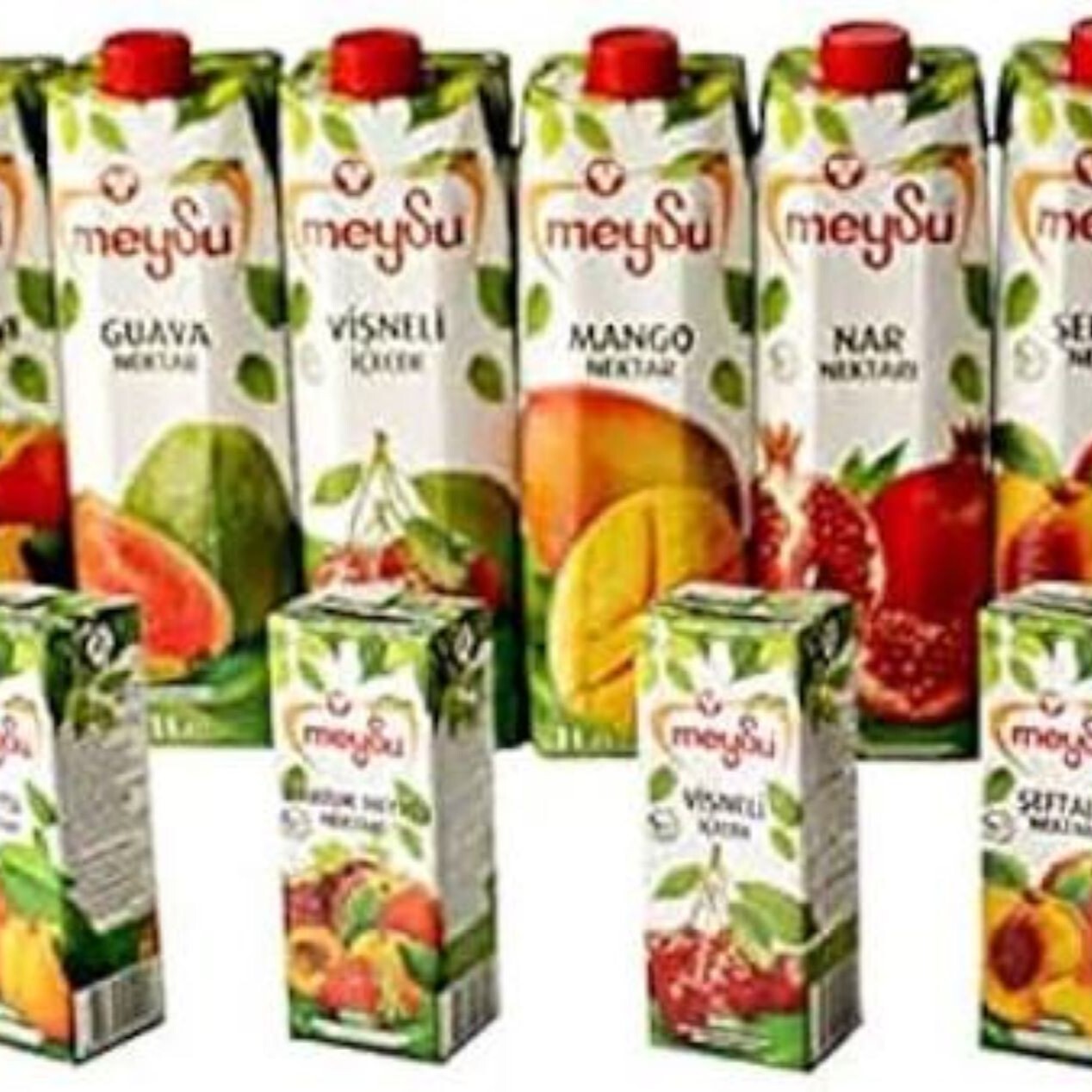 Meysu (1 lt Çeşitleri)