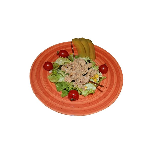 Ton Balıklı Salata
