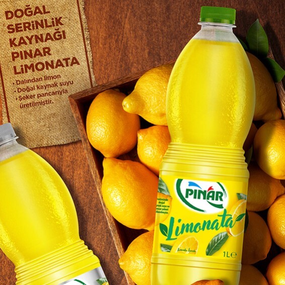 Pınar limonata(330ml)