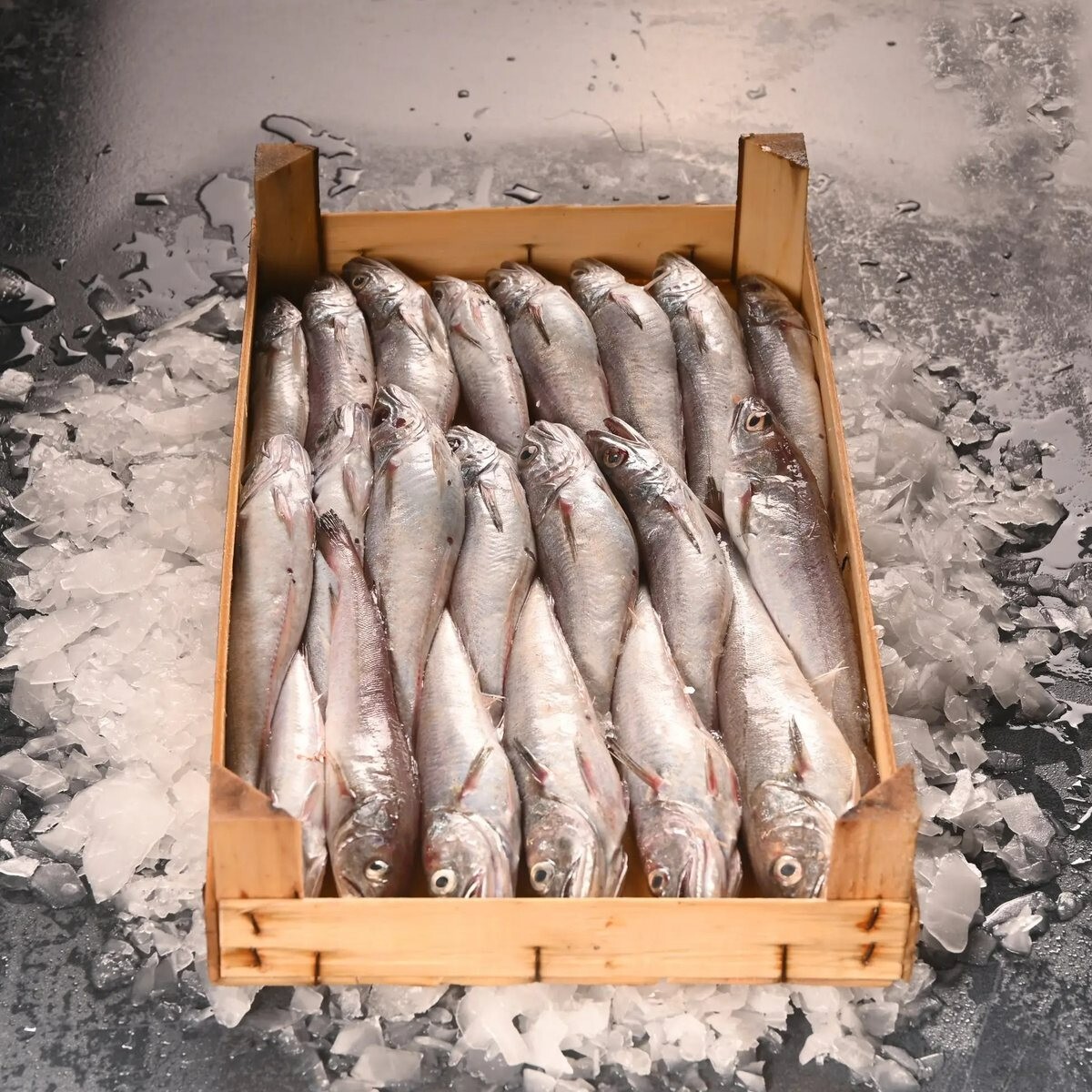 Bako Mezgit (1 kg.) (Pişirilmemiş)