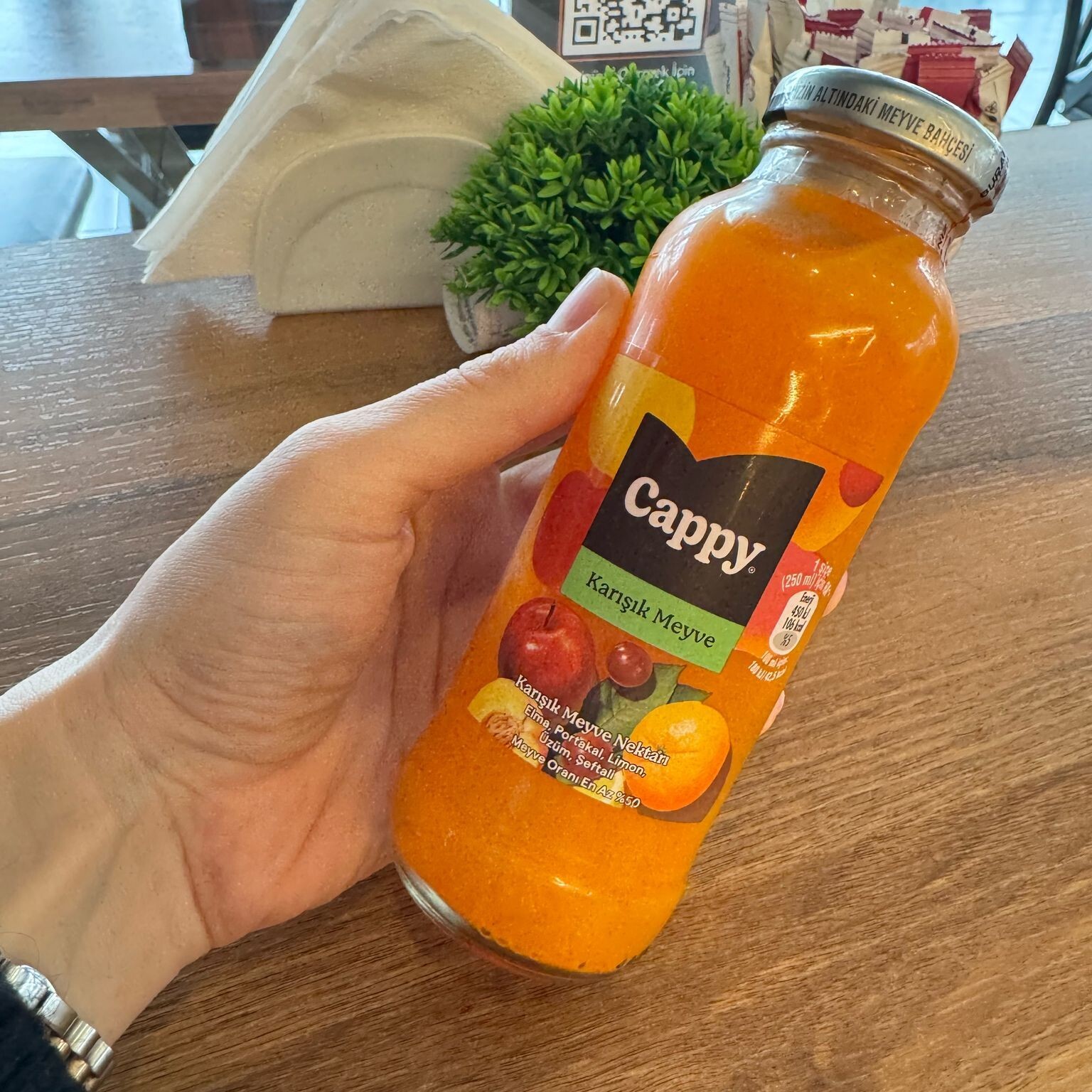 Cappy Karışık Meyve Suyu