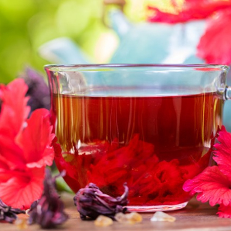 Hibiscus