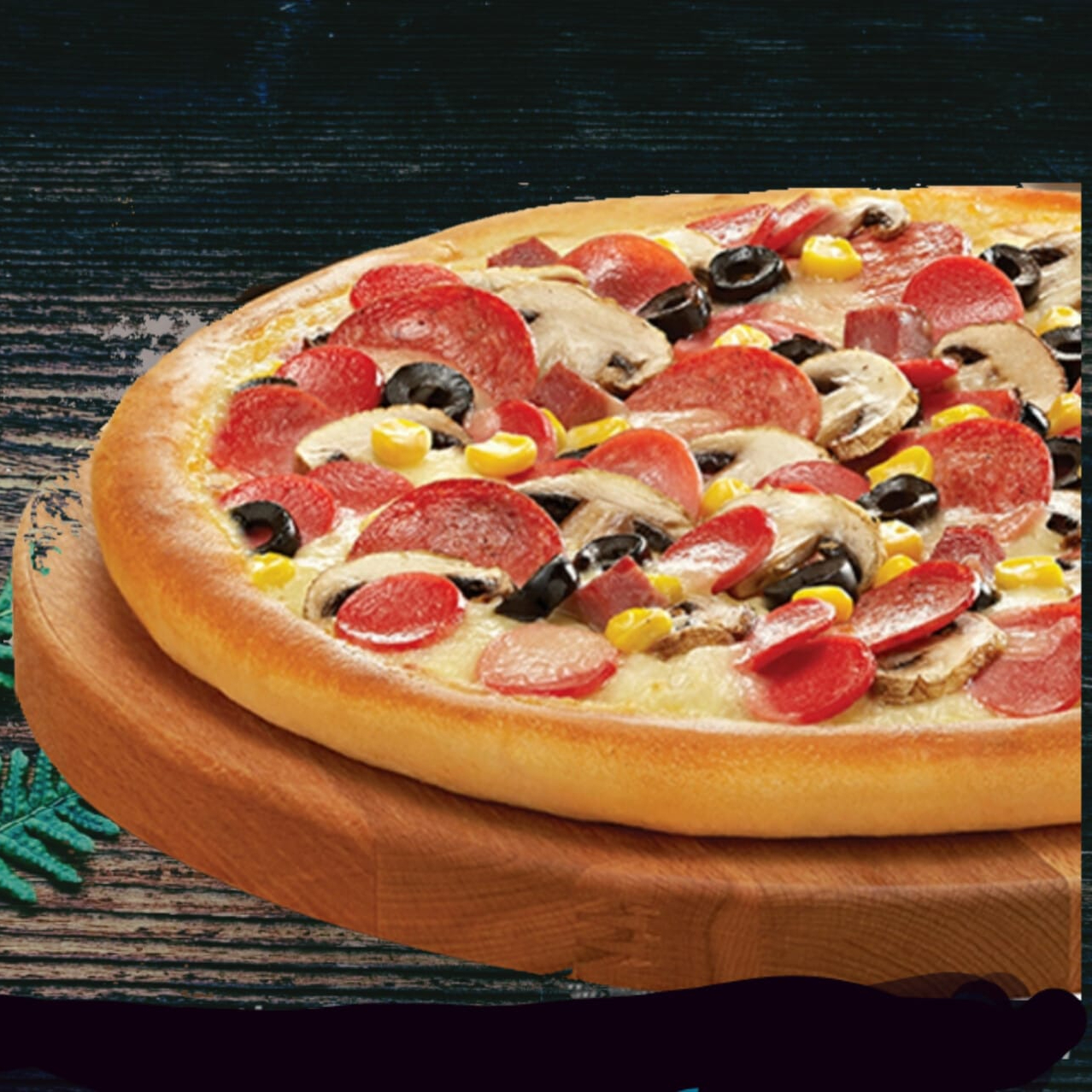 Special Pizza (Büyük Boy)
