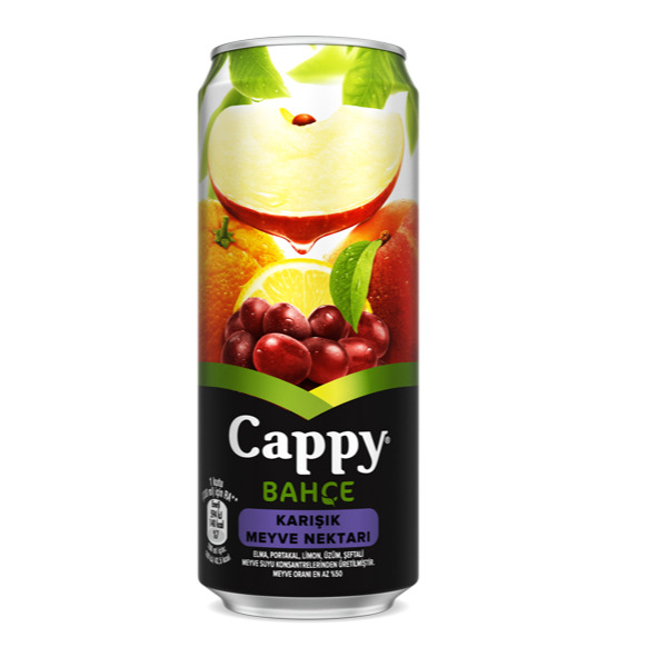 Cappy Karışık Kutu (330 ml)