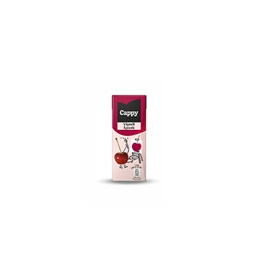 Cappy Vişne (200 ml)