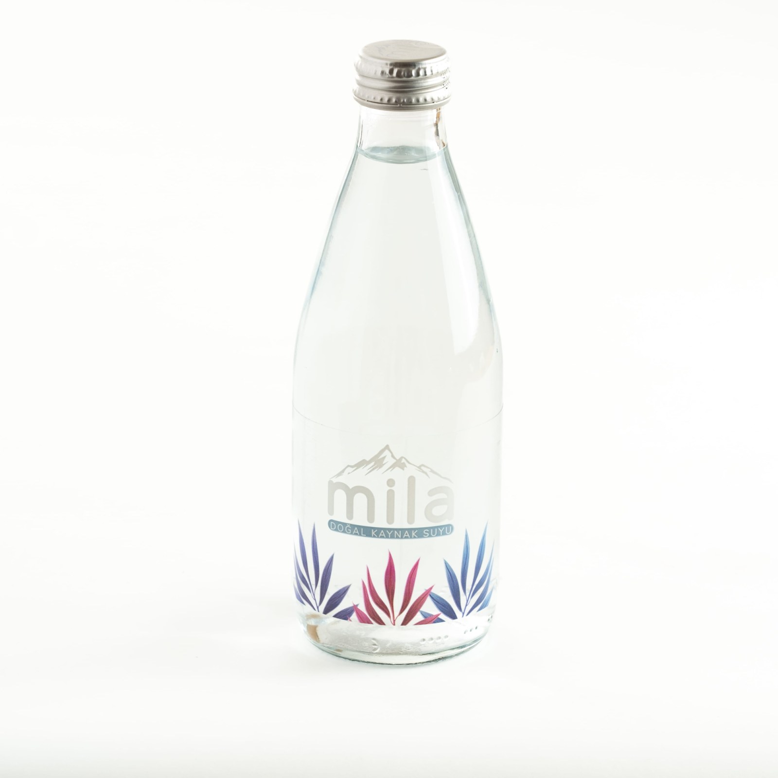 Cam Şişe Su (330 ml)
