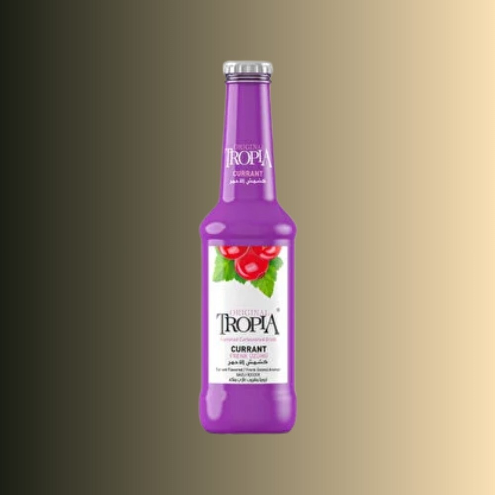Tropia Currant Gazoz (250 ml)