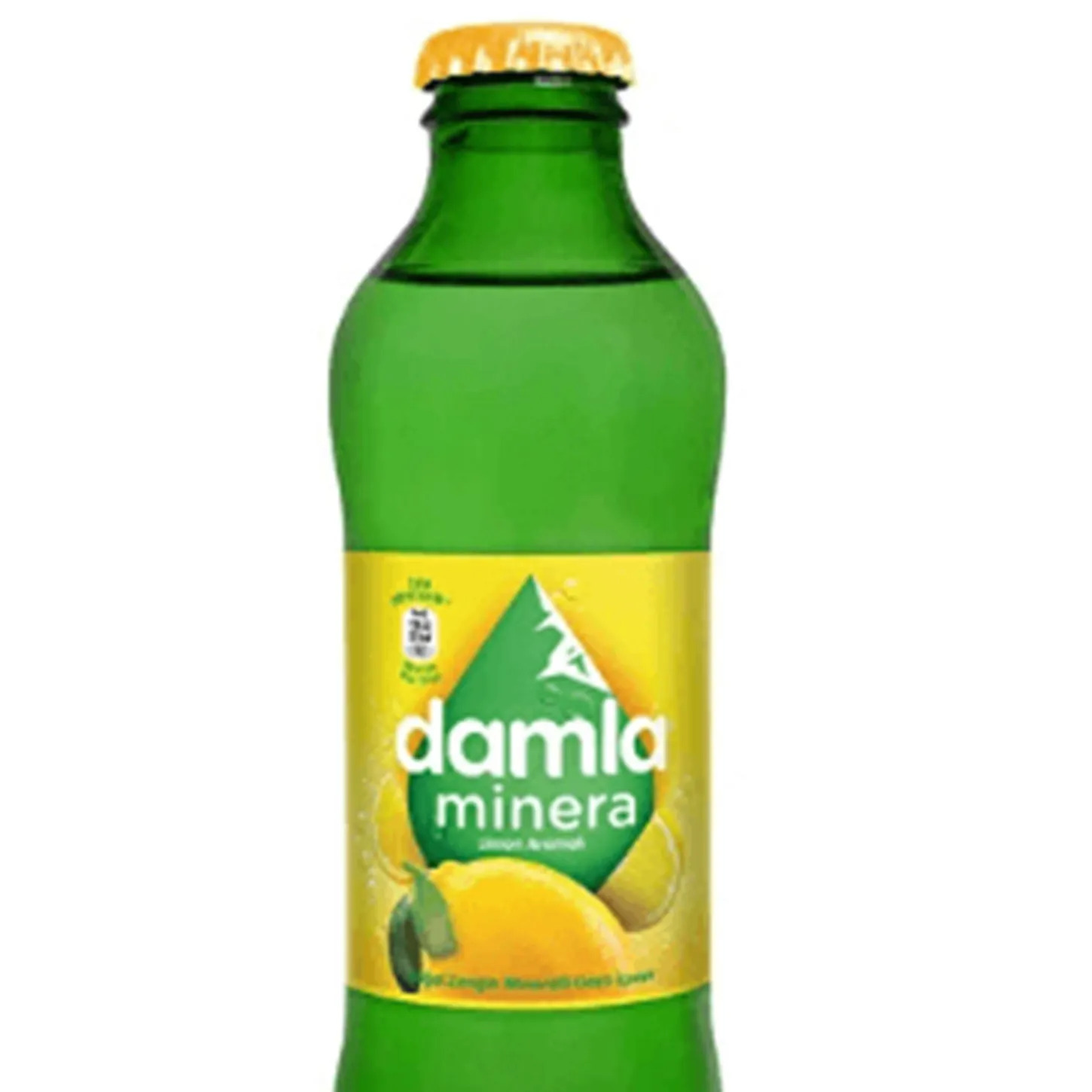 Meyveli Soda (20 cl.)