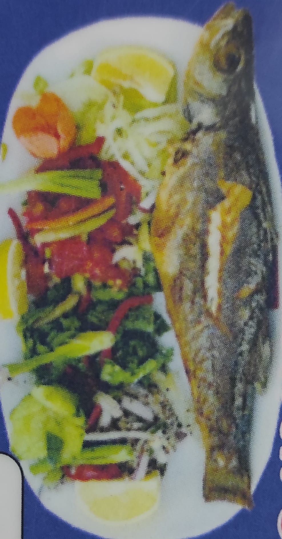 Levrek Servis