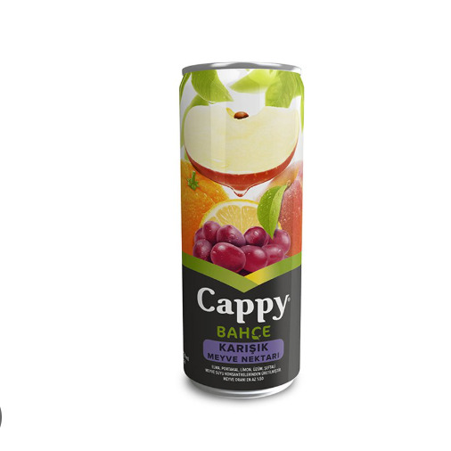 Cappy (33 cl.)