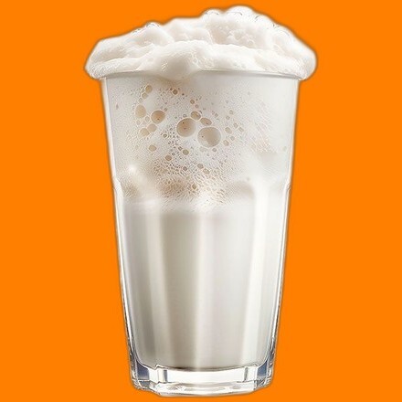 Ayran (170 ml)