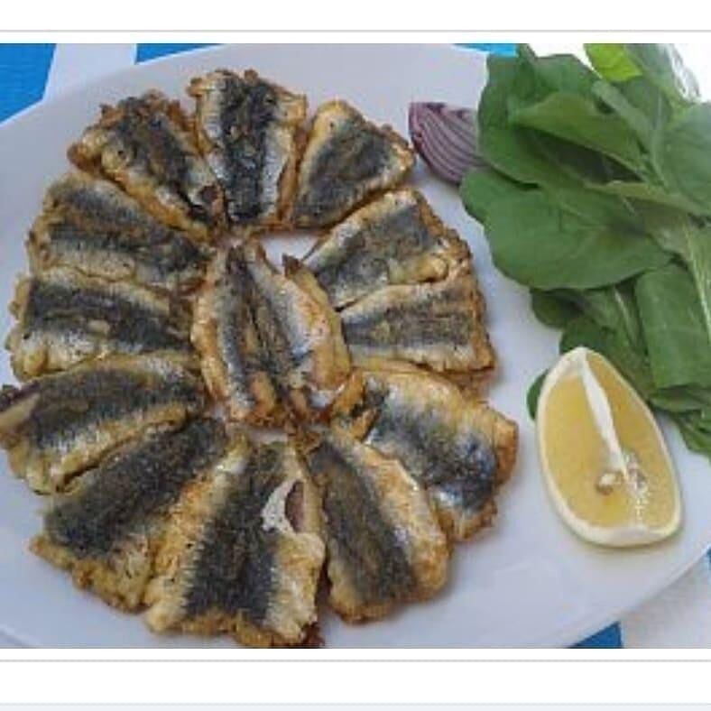Sardalya kelebek (kılçıksız)(1 kg)