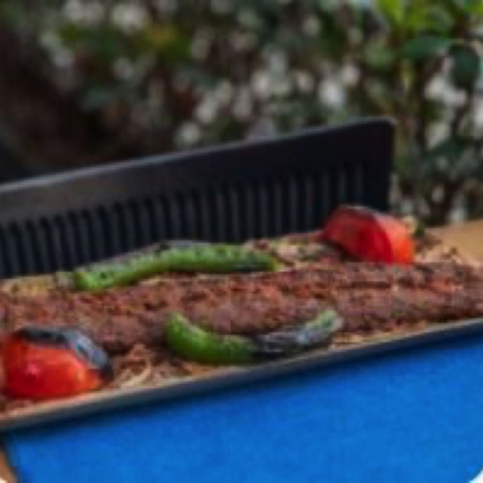 Vegan Satır Kebap