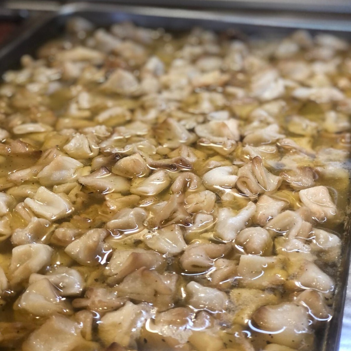 Mantı