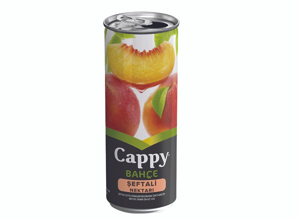 Cappy Meyve Suyu (330 Ml)