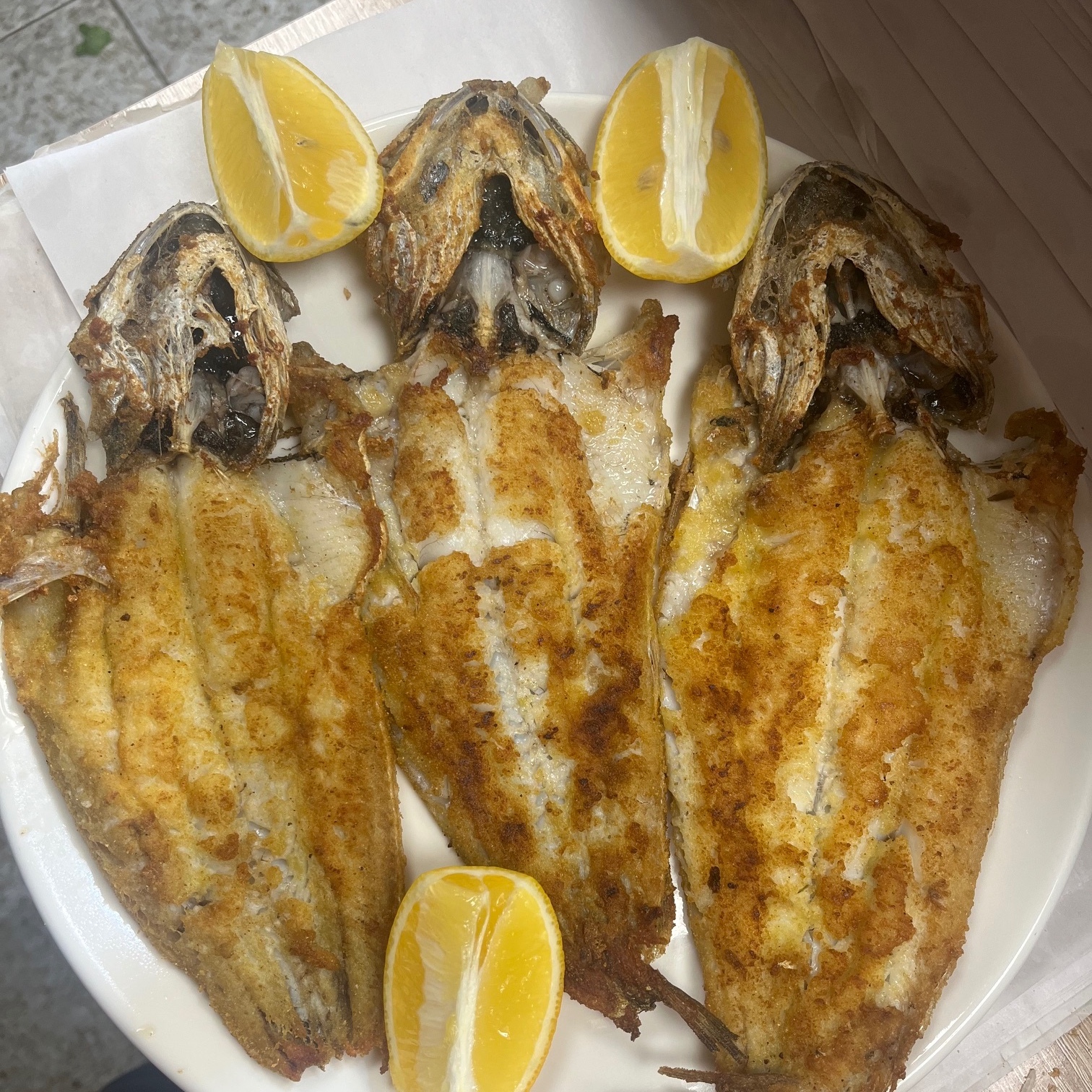 Mezgit (1 kg)