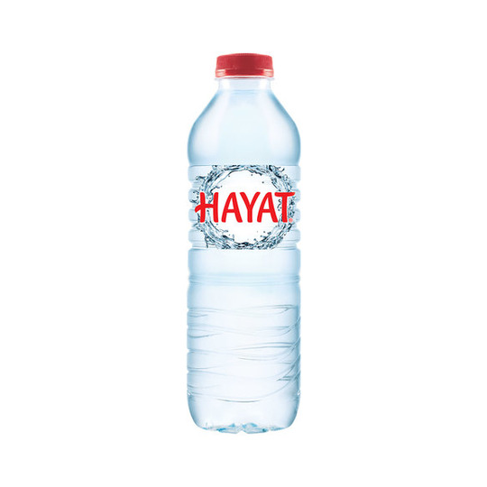 Hayat Su (50 cl.)