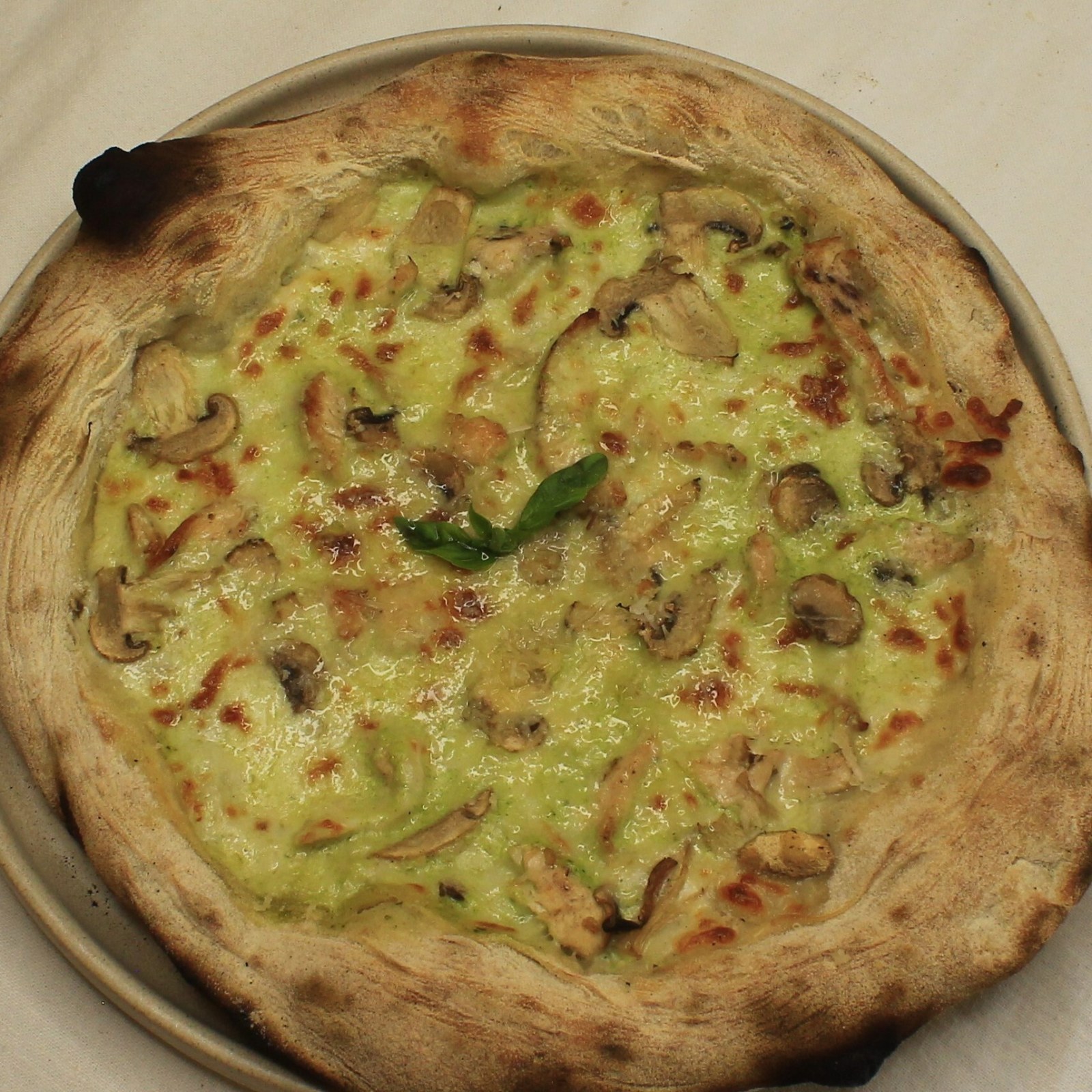 Tavuk Mantar Pizza