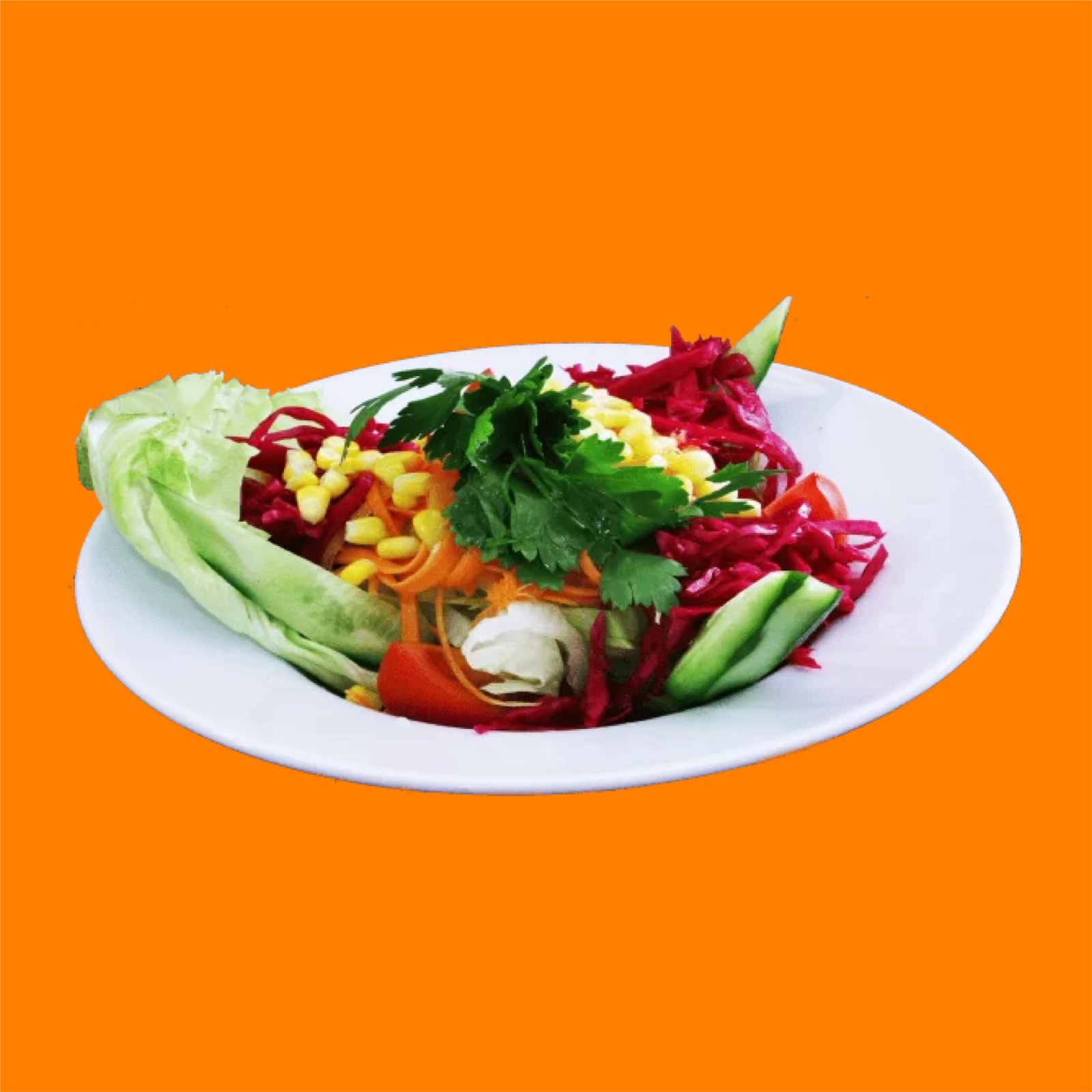 Mevsim Salata