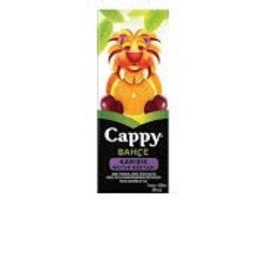 Cappy (200 Ml)