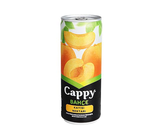 Cappy Kayısı