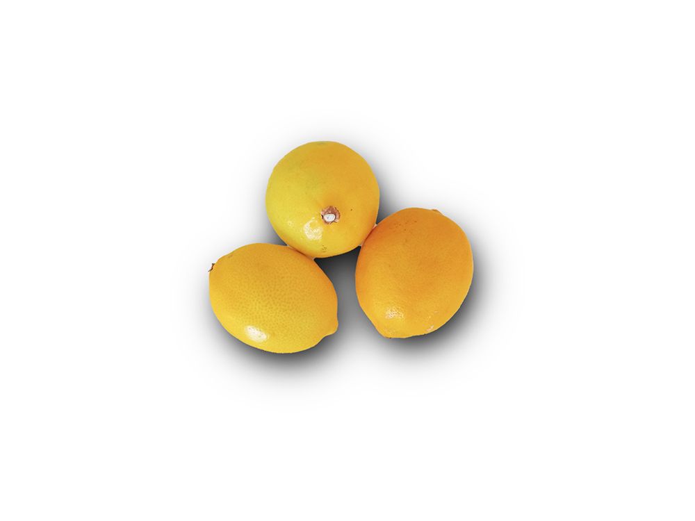 Limon (1 Adet)