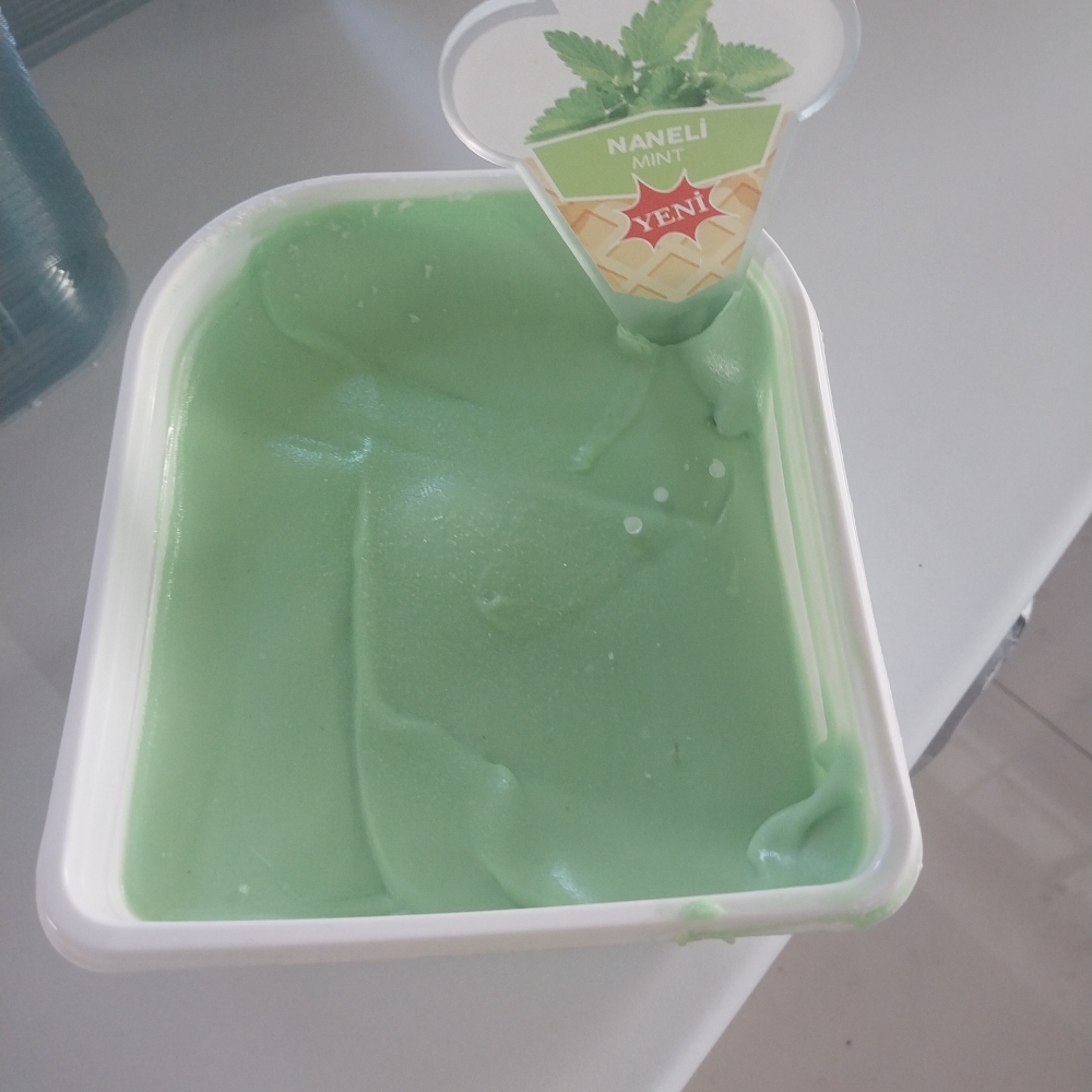 Naneli Dondurma 250 gr