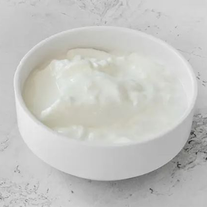 Yoğurt