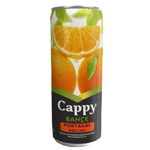 Cappy Teneke Kayısı Suyu