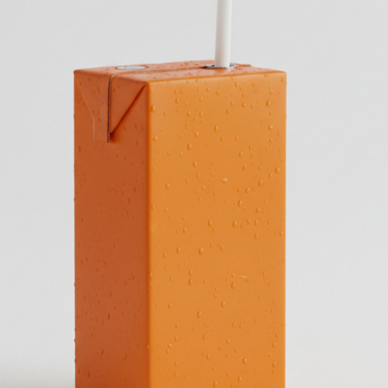 Meyve Suyu (330 ml)