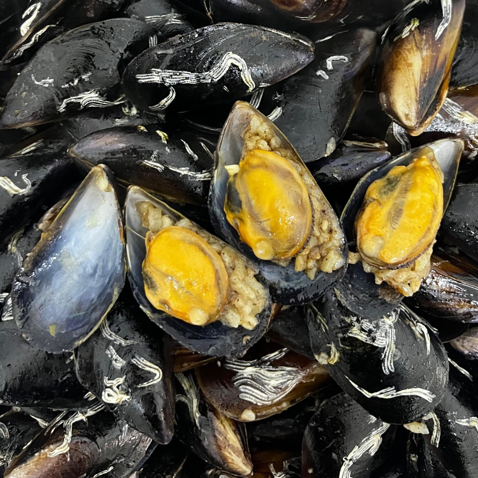 30 Adet Çiftlik Midye Dolma