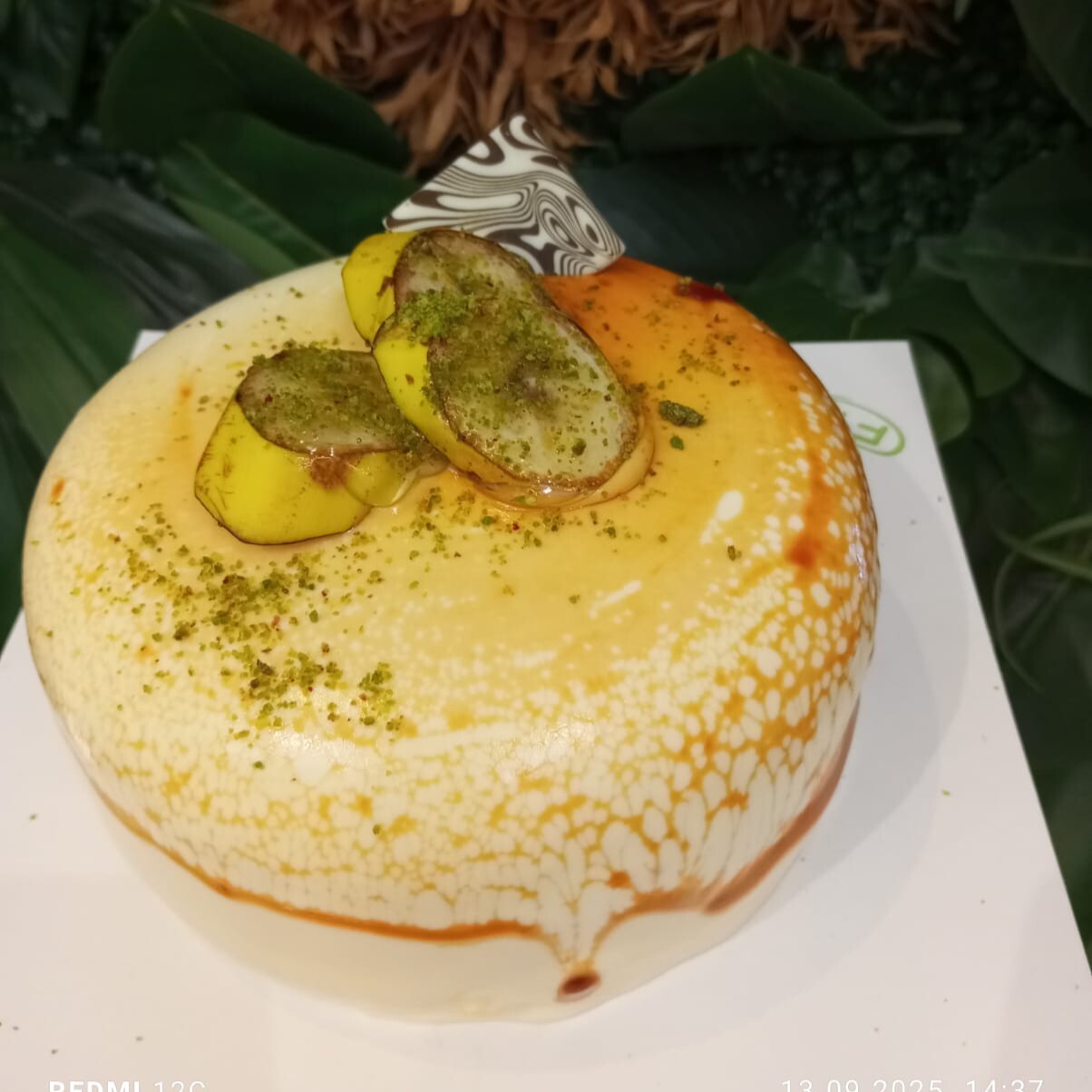 Muzlu Pasta (8 Kişilik)