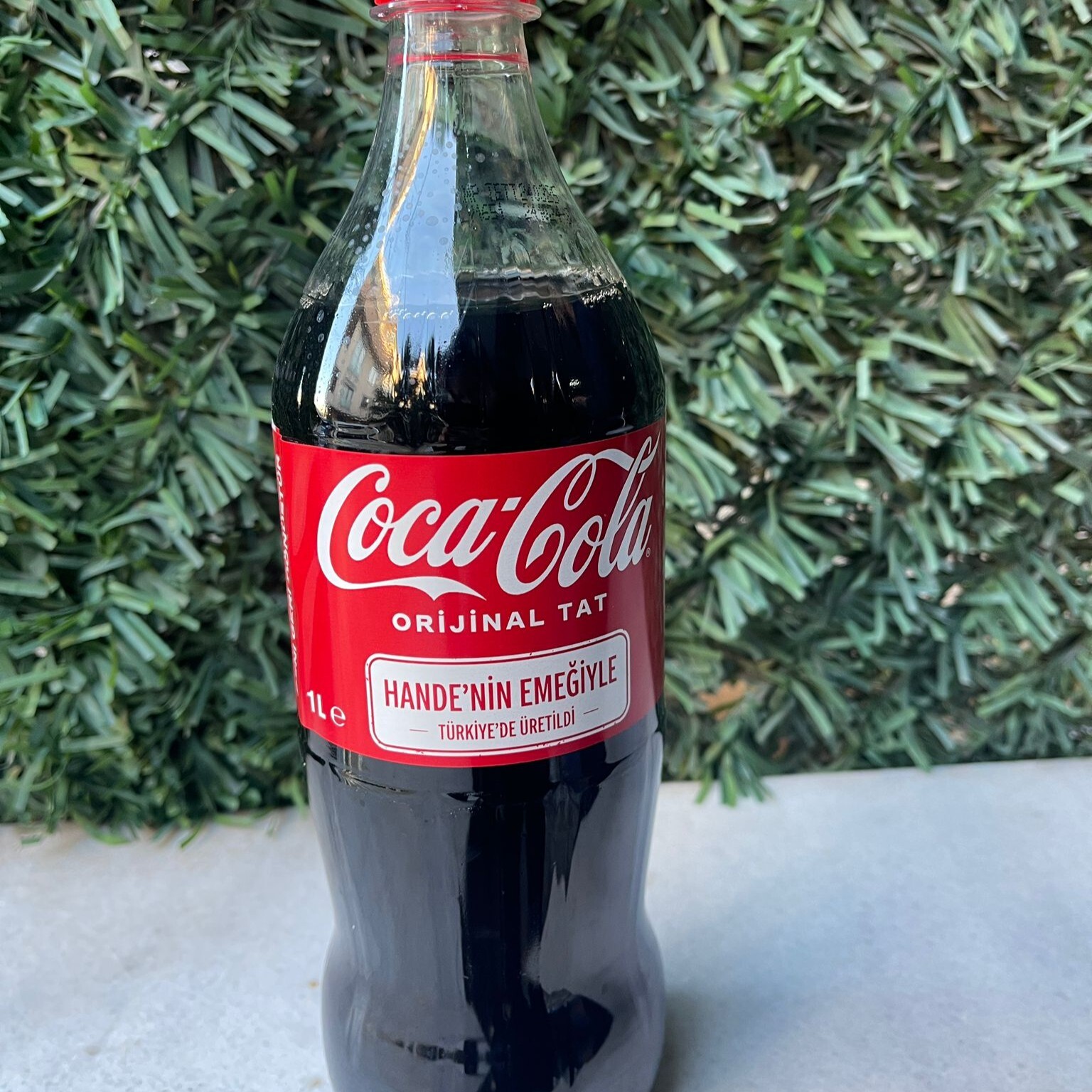 Coca Cola (1 lt.)
