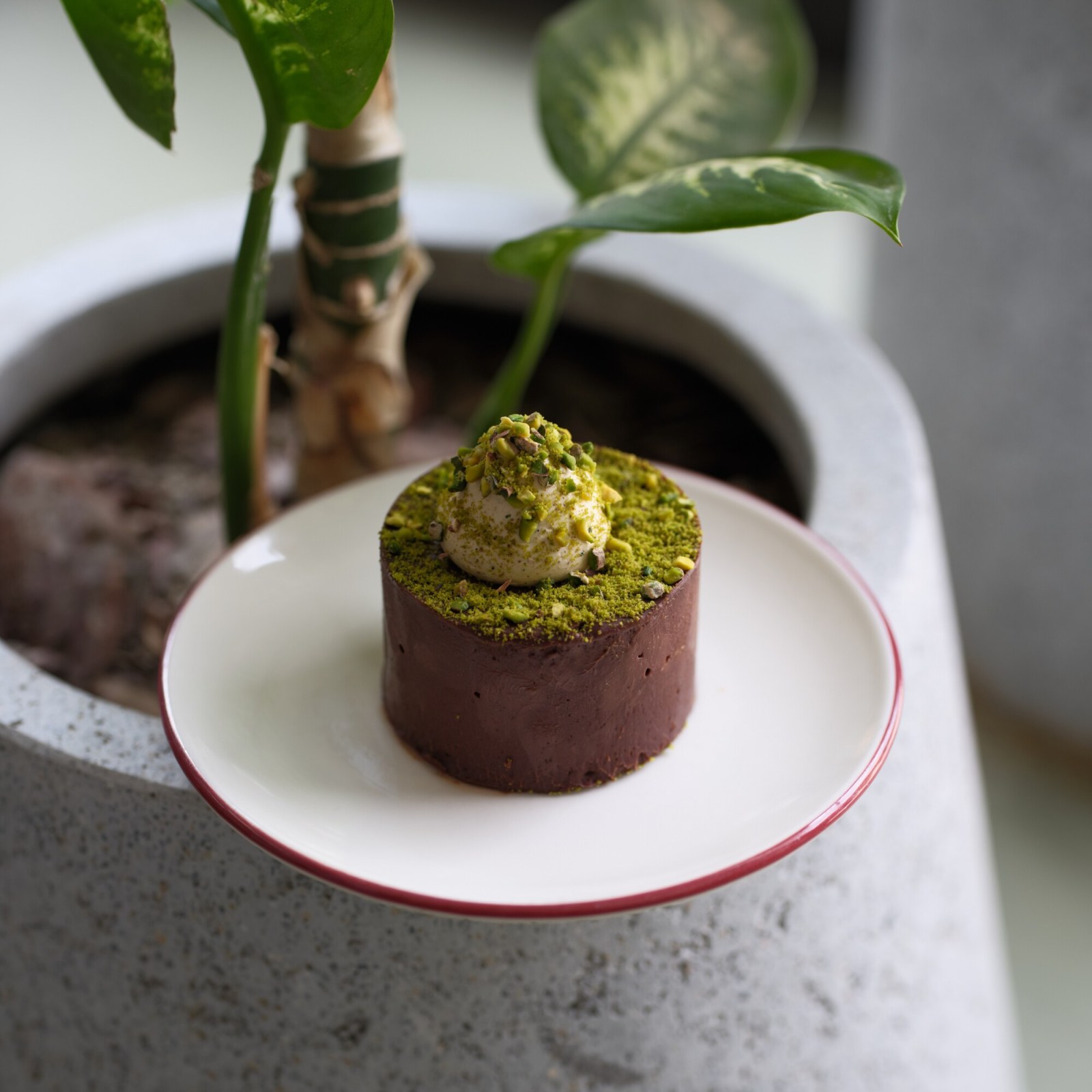 Pistachio Devils Food Cake
