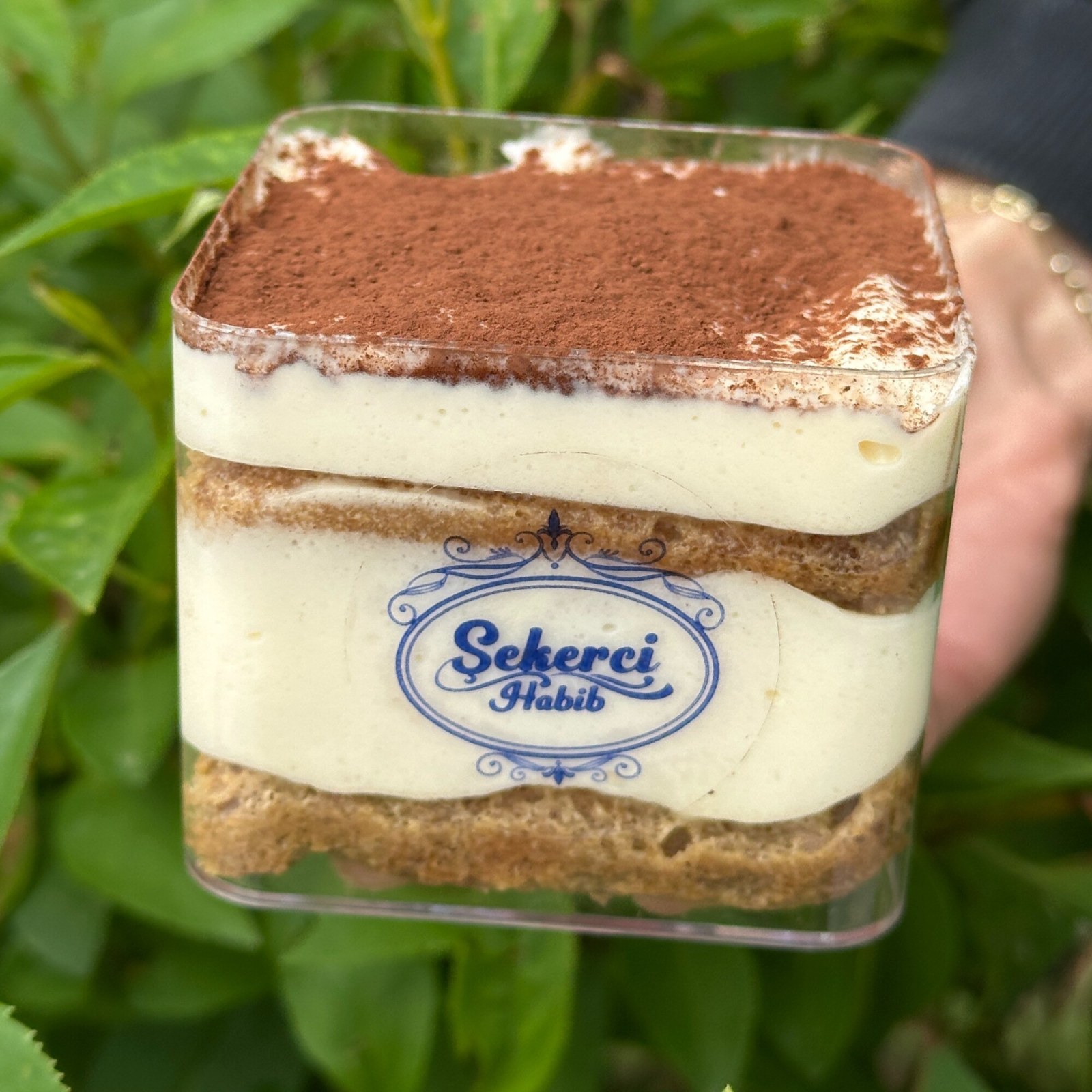 Klasik Tiramisu
