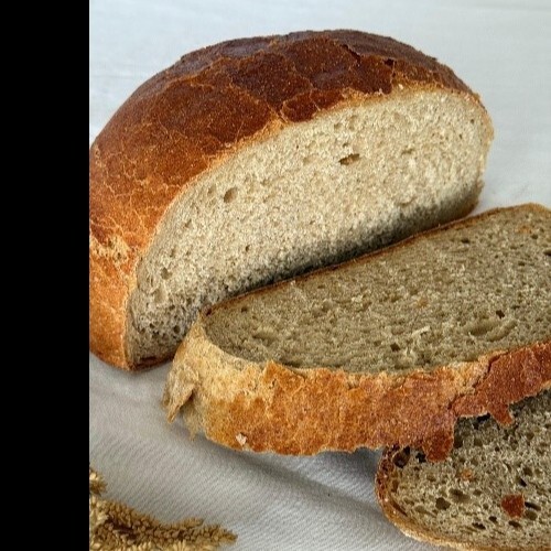 Tam Buğday