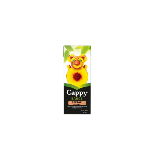 Cappy Şeftali (20 cl.)